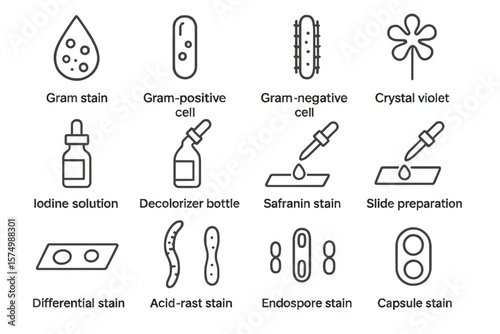 Microbiology staining techniques diagram with key tools and methods