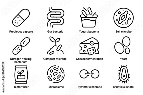 Diagram of various microbes and fermentation processes in simple icons