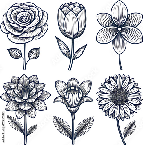 Six Detailed Line Art Flower Illustrations on White Background