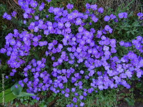 Griechisches Blaukissen