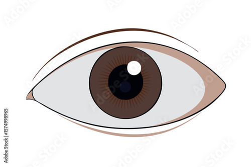Realistic brown eye vector illustration for medical and beauty concepts design
