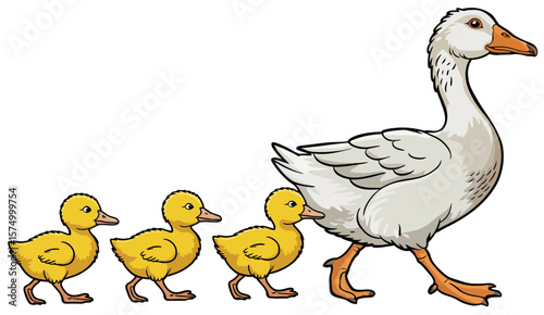 Mother goose leading her three cute ducklings in a line