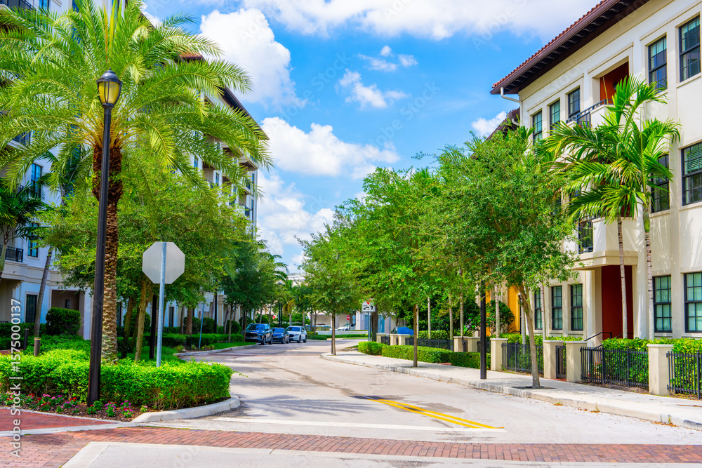 Fototapeta premium Residential housing in Miami Lakes. View down street with street parking on winding road