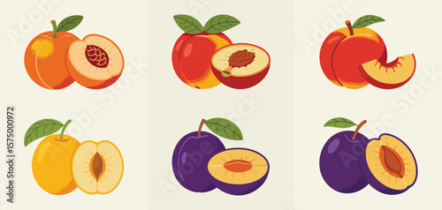 Collection of colorful flat design peaches and plums with leaves and pits