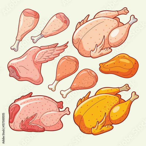 Collection of raw and cooked chicken pieces and whole birds