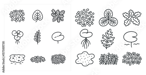 Variety of plants and trees, including some that are leafy and some that are not. The plants are arranged in a grid, with some overlapping and some standing alone