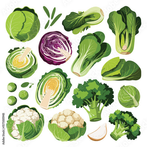 Collection of fresh green and purple vegetables including cabbage broccoli cauliflower and bok choy