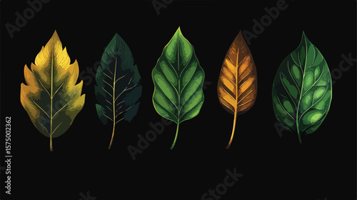 Bundle of Boho Style Leafs and Plants Nature IC