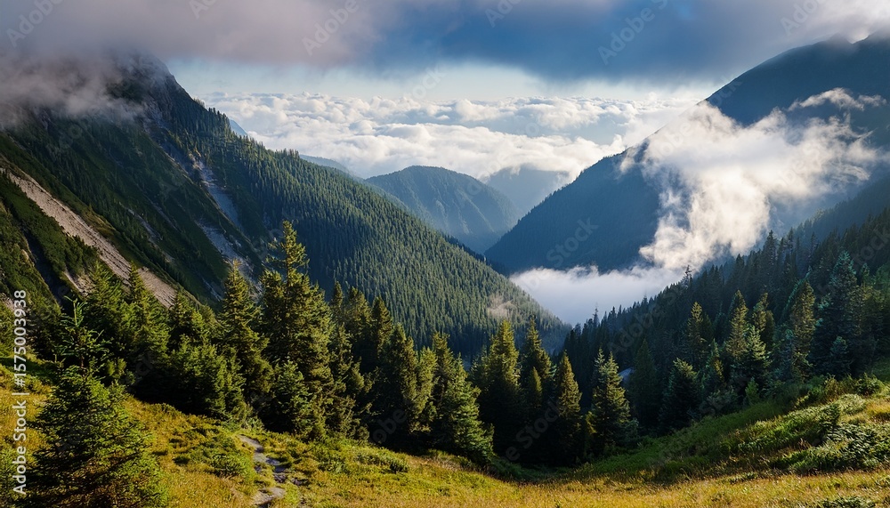 Fototapeta premium mountainous terrain with low clouds and forest