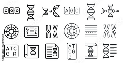 DNA is the genetic material of all living things. It is made up of four nucleotides: adenine, guanine, cytosine, and thymine. These nucleotides are arranged in a double helix structure