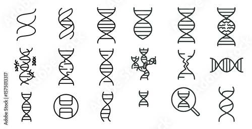 Collection of DNA strands are shown in various shapes and sizes. Concept of the complexity and diversity of DNA, as well as the importance of understanding its structure and function