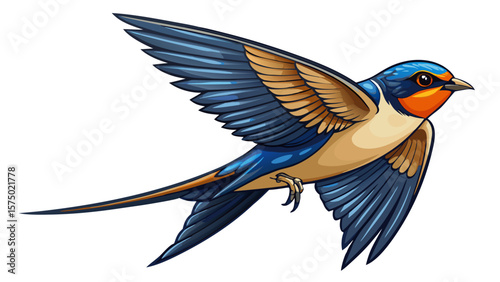 Barn Swallow Flying wings spread, bird, Hirundo rustica, flying against white background