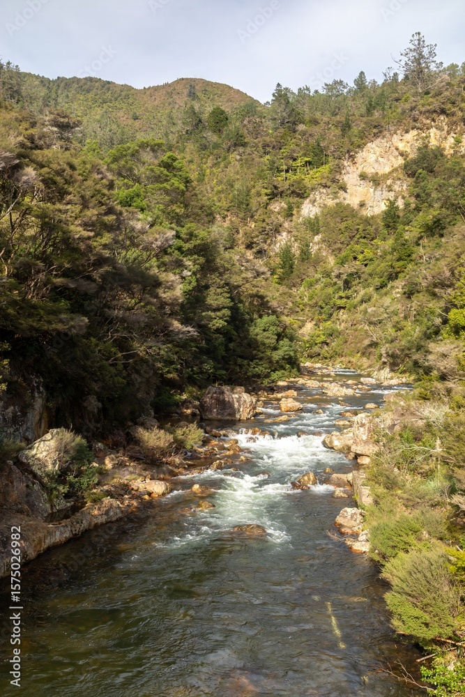 Rapids flow through a rocky riverbed on the Waitawheta river, Karangahake, Coromandel Peninsula, New Zealand. The water rushes around the rocks, creating whitewater. Rapids flow through a rocky riverbed on the Waitawheta river, Karangahake, Coromandel Peninsula, New Zealand. The water rushes around the rocks, creating whitewater.
