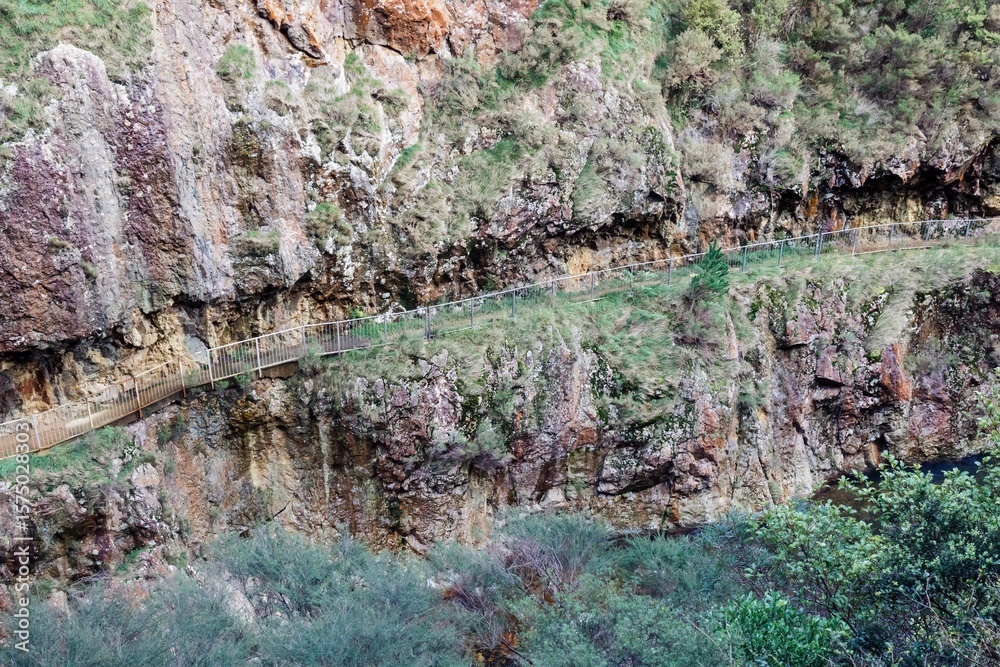 Obraz premium A scenic view of a walking track built into a steep rock face, with a safety rail, allowing people to hike along the gorge in The Crown Mines, Karangahake, Coromandel Peninsula, New Zealand