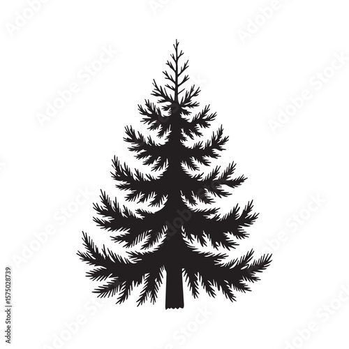 Silhouette of Douglas fir tree in vector format for forest and nature themes