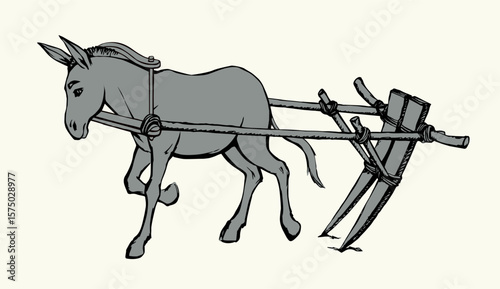 Vector drawing. Cute old mule