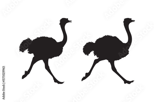 Two black silhouettes of ostriches running side by side on a white background
