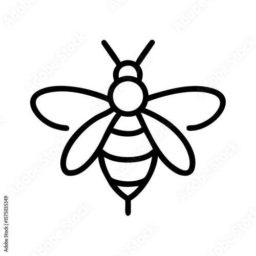 Line drawing of a bee with detailed wings and body structure  