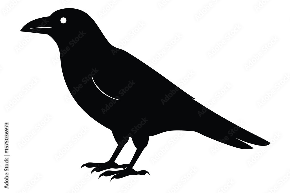 Fototapeta premium black crow vector icon