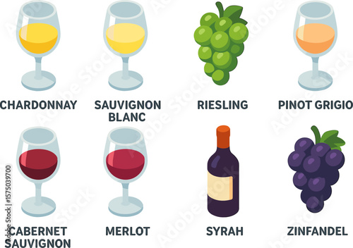 Wine varieties and grapes with glasses in flat design