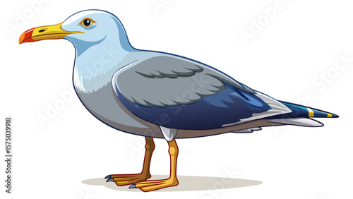 Isolated standing seagull on blank background