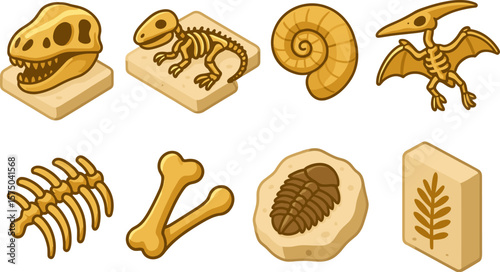 Colorful prehistoric fossils set with dinosaur bones and marine shells