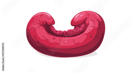 Human Stomach Ulcer Cartoon Design - Detailed Human Anatomy Illustration