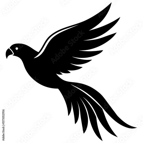 Elegant flying bird with long tail feathers silhouette vector illustration