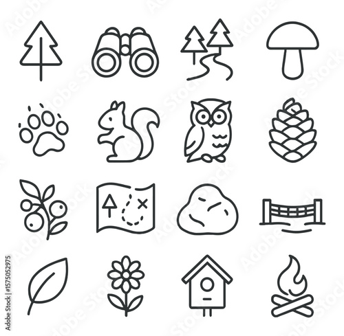 Forest Exploration line art icons. Tree icon, binoculars, forest path, mushroom, animal tracks, squirrel, owl, pinecone, wild berries, forest map, moss rock, log bridge, leaf icon,