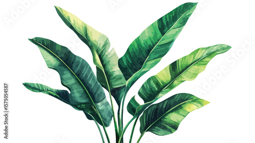 Fresh Organic Plant Leaf Vector Illustration