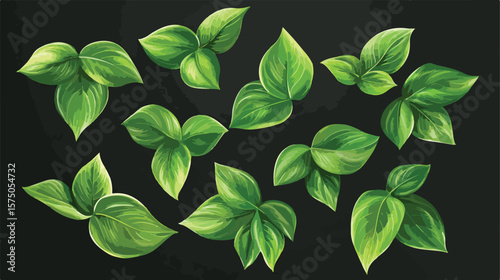 Vibrant Green Leaves on Transparent Background