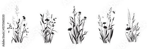 Wild herbs and flowers bouquet set. Field, meadow, steppe landscape compositions. Cereals and broadleaf floral Garden weeds thickets. Vector realistic silhouette drawings isolated on white background.