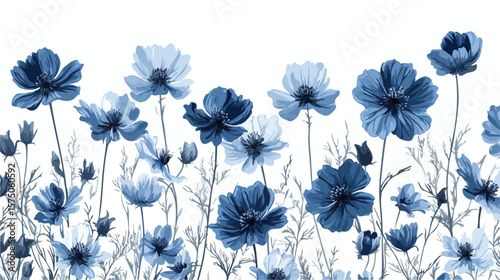 Vintage Hand Drawn Nigella Flowers Illustration