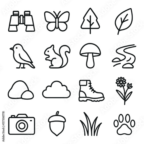 Exploring nature line art icons. binoculars, butterfly, tree, leaf, bird, squirrel, mushroom, stream, rock, cloud, hiking boots, wildflower, camera, acorn, grass, animal track.