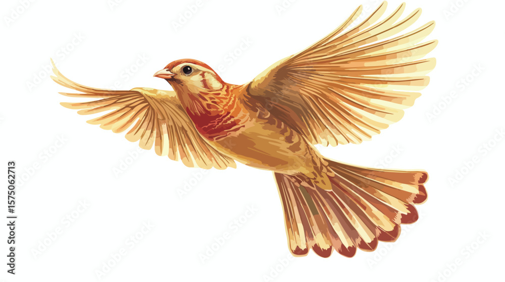 Fototapeta premium Detailed Partridge Vector Image for Professional Projects