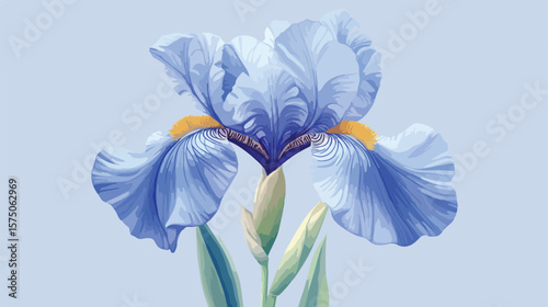 Elegant Blue Iris Flower Illustration in Pastel Tones