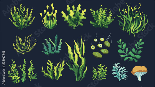 Realistic Sea Weeds Food Set Flat Vector Illustration