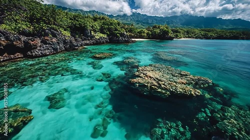 Aerial view of a tropical seascape featuring turquoise water and a lush green coastline coral reef and surrounding vegetation creating a scenic view