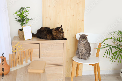 Cute cats in stylish living...