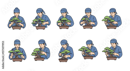 Bonsai Shaping Sequence: A Gardener's Art in Stages