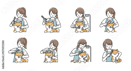 Shiba Inu Grooming Process: Illustrated Guide