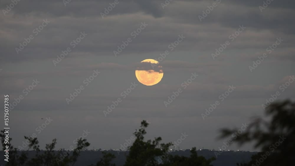 Video of the full moon rising moving through the gray clouds of a dramatic sky, birds flying past in the distance.