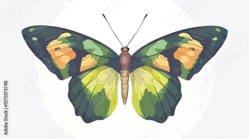 Detailed Macro Shot of Butterfly on White Background