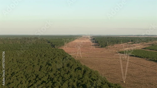High voltage power lines crossing a pine forest at sunset near Yacyretá, Corrientes, Argentina.