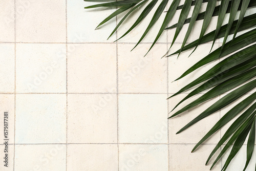 Tropical palm leaf on textu...