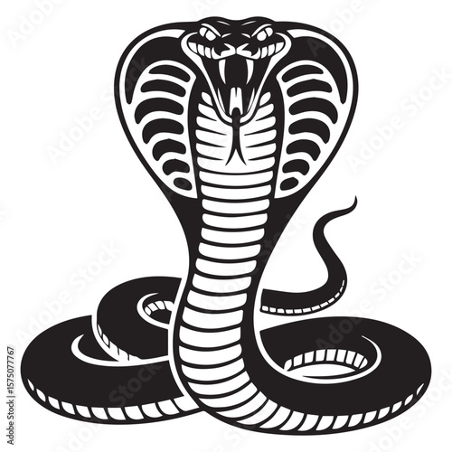 Stylized black and white cobra snake ready to strike with hood expanded