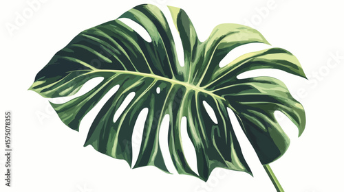 Fresh Organic Plant Leaf Vector Illustration