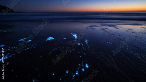Glowing Bioluminescence on Beach at Dusk - Natural Phenomenon