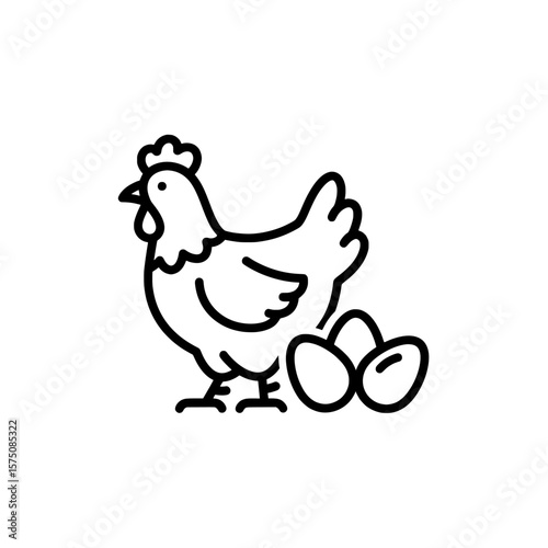 Chicken with eggs on a black background for culinary or farm themes