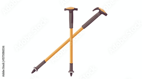 Nordic Walking Pole Flat Vector Design Isolated